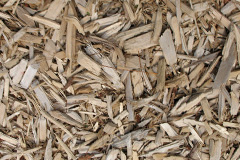 biomass boilers Weybread